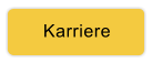 Karriere