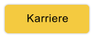 Karriere