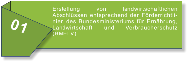 01 Erstellung von landwirtschaftlichen Abschlüssen entsprechend der Förderrichtlinien des Bundesministeriums für Ernährung, Landwirtschaft und Verbraucherschutz (BMELV)